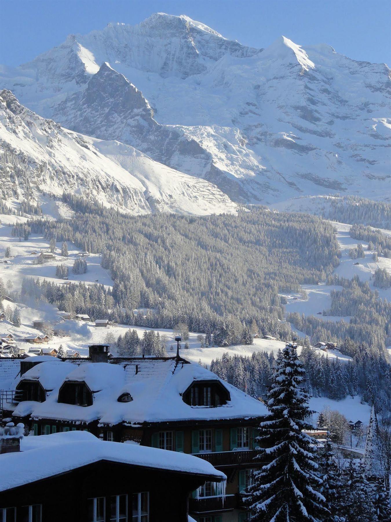 Hotel Alpenruhe - Vintage Design Hotel Wengen Kültér fotó
